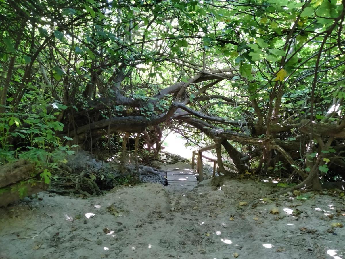 Alojamiento Rural, Cueva De La Abuela Cuevas del Campo Kültér fotó